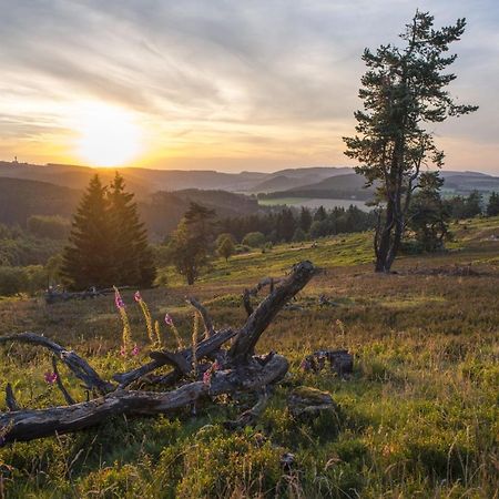 Fewo Poenblick Willingen  Exterior foto